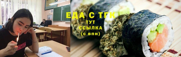 индика Балахна