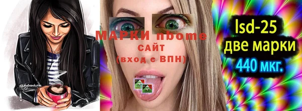 индика Балахна