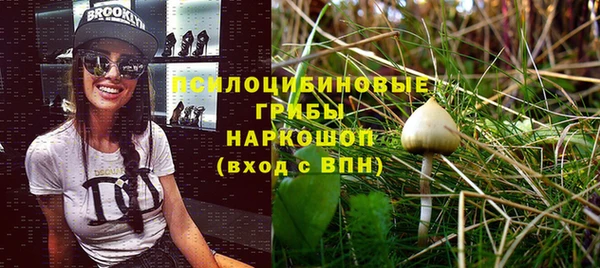 индика Балахна