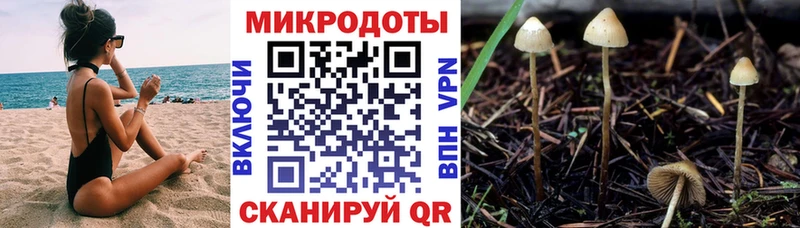 Псилоцибиновые грибы GOLDEN TEACHER  omg как зайти  Волгоград 